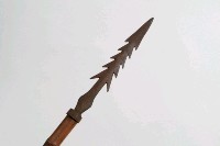 槍藏品圖，第5張